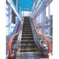 Best Buy Economical Indoor Types VVVF Escalator Residential